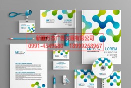 品牌設(shè)計 名片 手提袋 畫冊 整套VI 